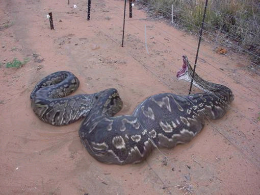 Photoshop Design by PeterAAAWelch for DesignCrowd (Community Contests) | Design #9029407