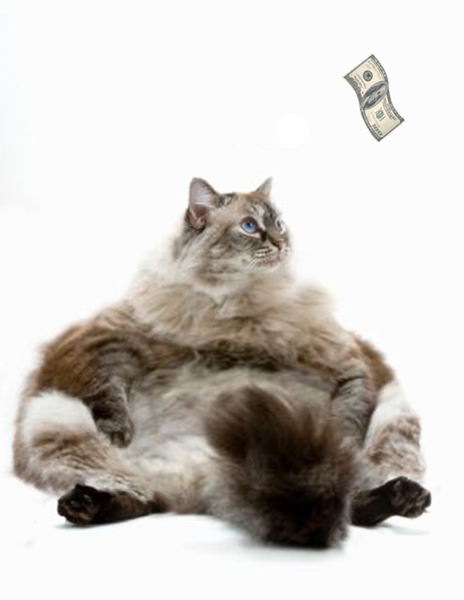 Photoshop Design by RachelB for DesignCrowd (Community Contests) | Design #9029409