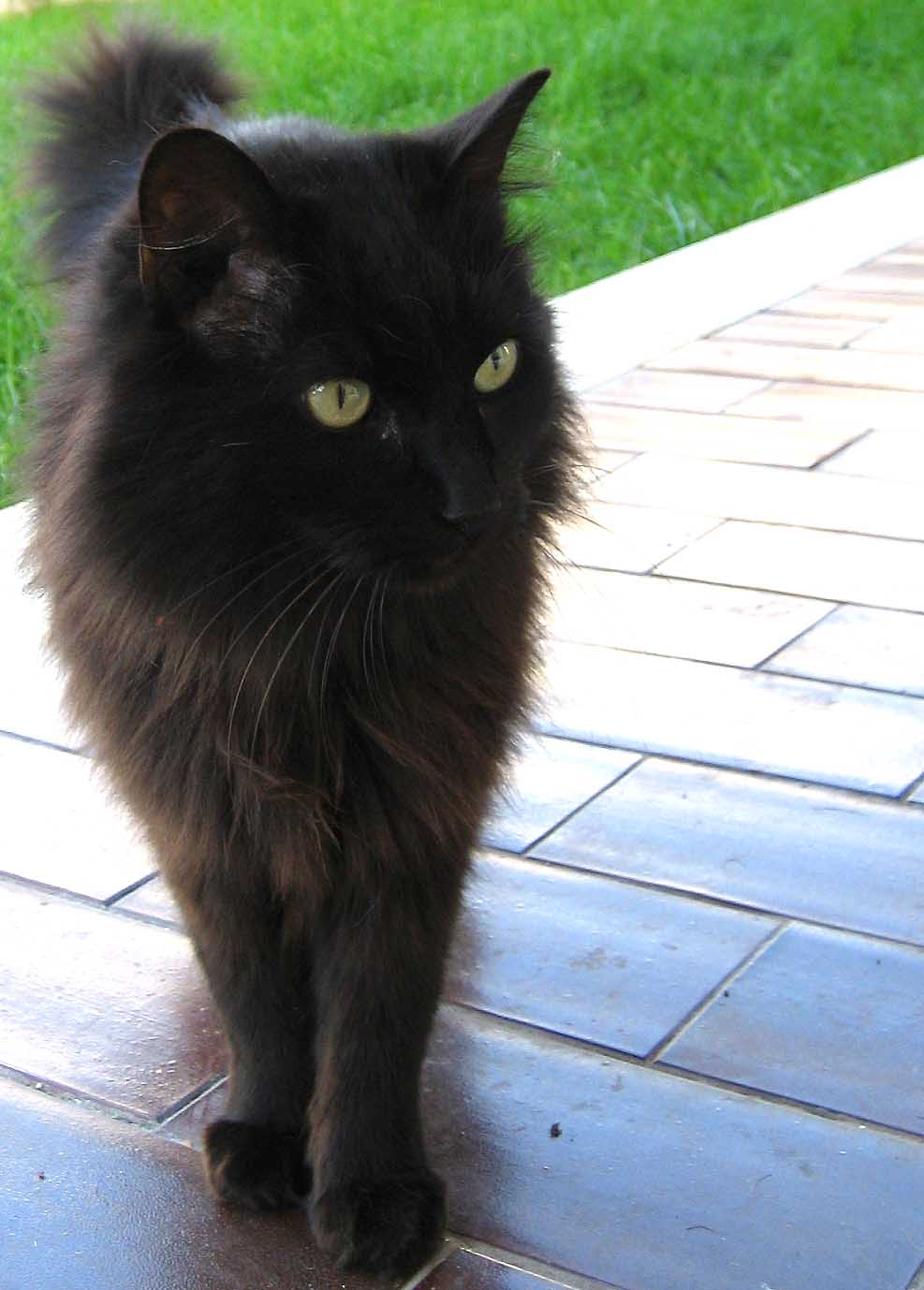 Photography by poisonyvy for DesignCrowd (Community Contests) | Design #9020481