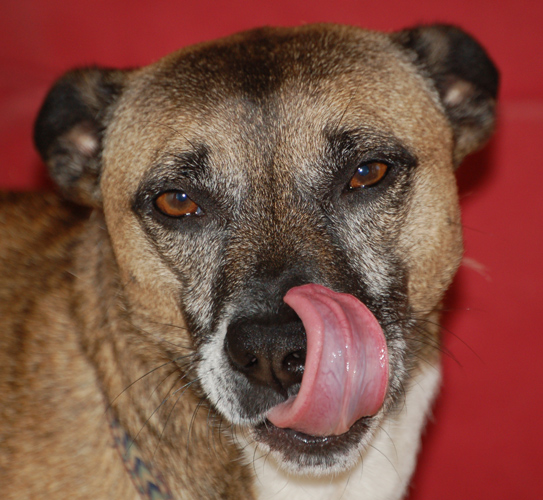 Photography by AIRPABLO for DesignCrowd (Community Contests) | Design #9020445