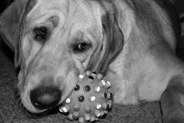 Photography by robinsphotos for DesignCrowd (Community Contests) | Design #9020419