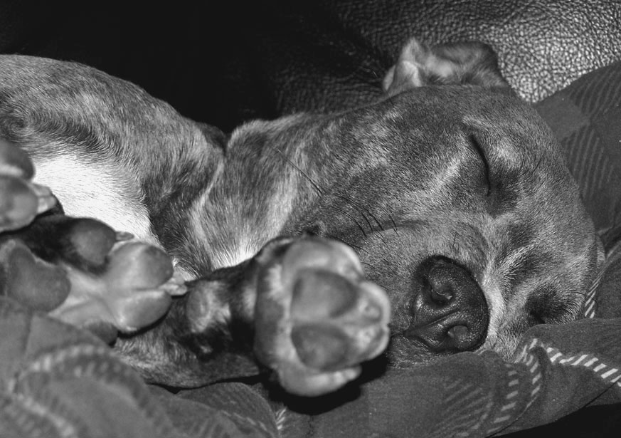 Photography by khudson for DesignCrowd (Community Contests) | Design #9020508