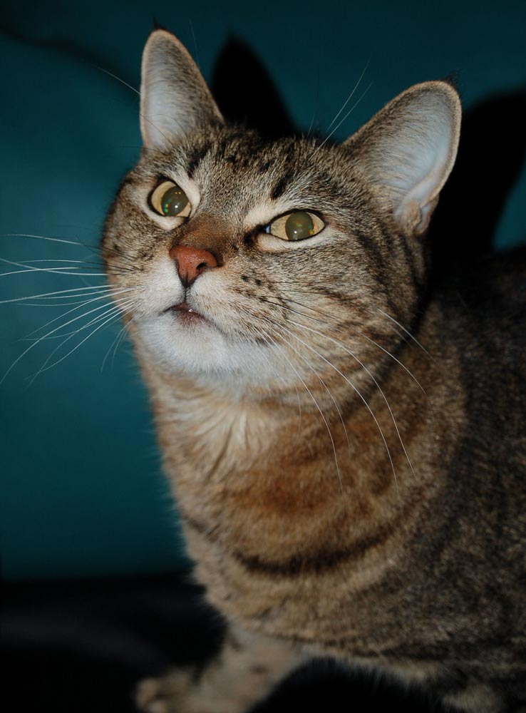 Photography by alwaysbeencreative for DesignCrowd (Community Contests) | Design #9020459