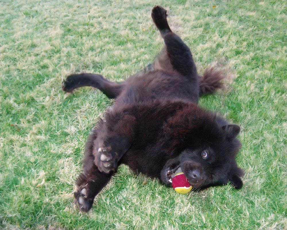 Photography by alwaysbeencreative for DesignCrowd (Community Contests) | Design #9025468