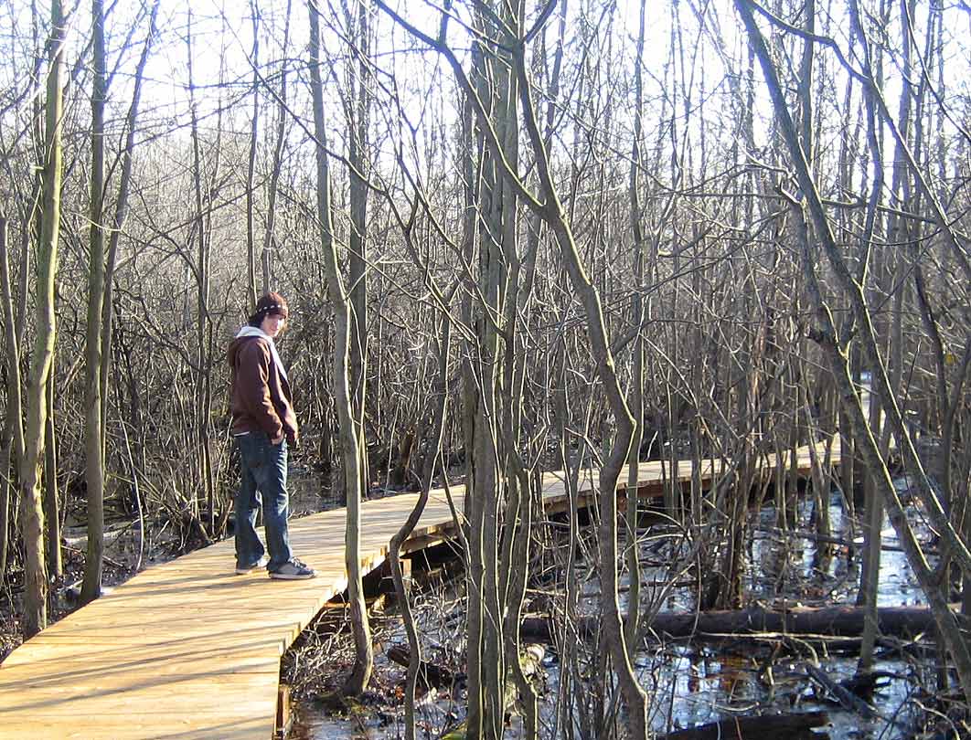 Fotografía por u2one1 para DesignCrowd (Community Contests) | Diseño #9025450