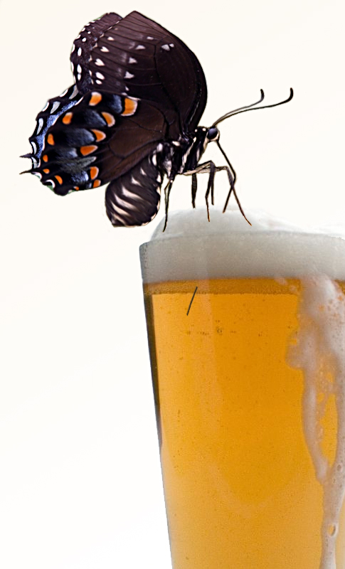 Design Photoshop par Stadsman pour DesignCrowd (Community Contests) | Design #9029437