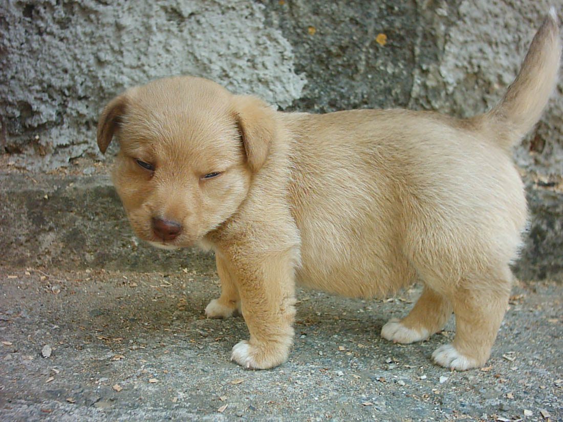 Photoshop Design by znxjanx for DesignCrowd (Community Contests) | Design #9029423