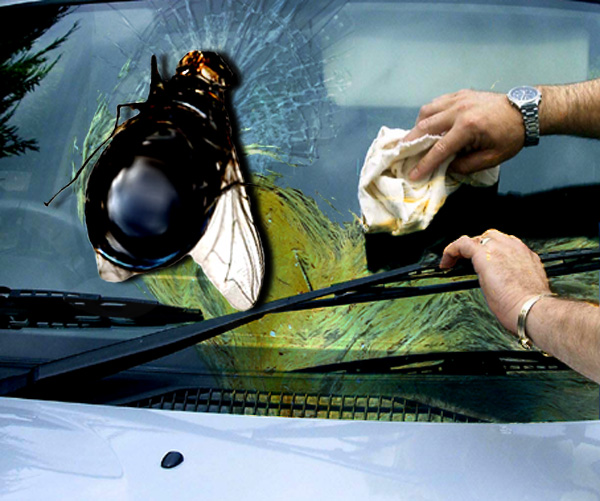 Photoshop Design by Carpetshark for DesignCrowd (Community Contests) | Design #9029439