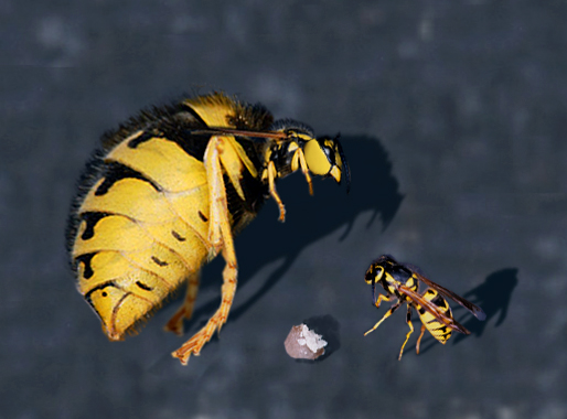 Photoshop-Design von makstel für DesignCrowd (Community Contests) | Design #9029509