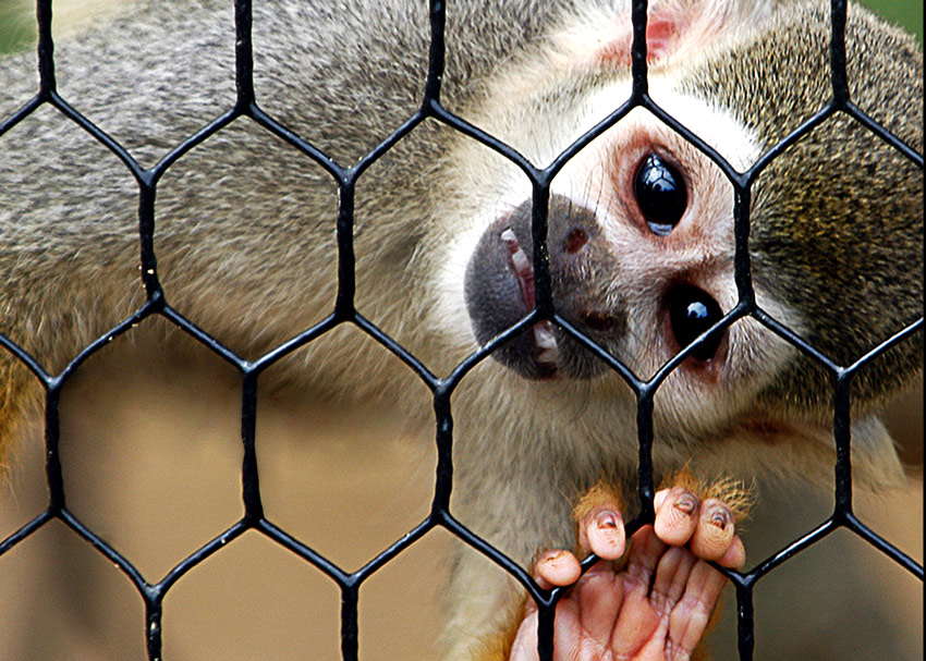 Fotografie von ewall53 für DesignCrowd (Community Contests) | Design #9025397