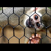 Photography by ewall53