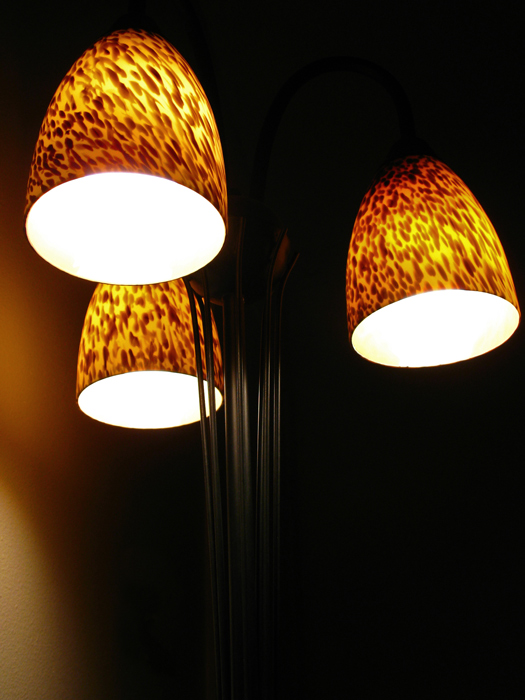 Photography by jersalv1 for DesignCrowd (Community Contests) | Design #9024448