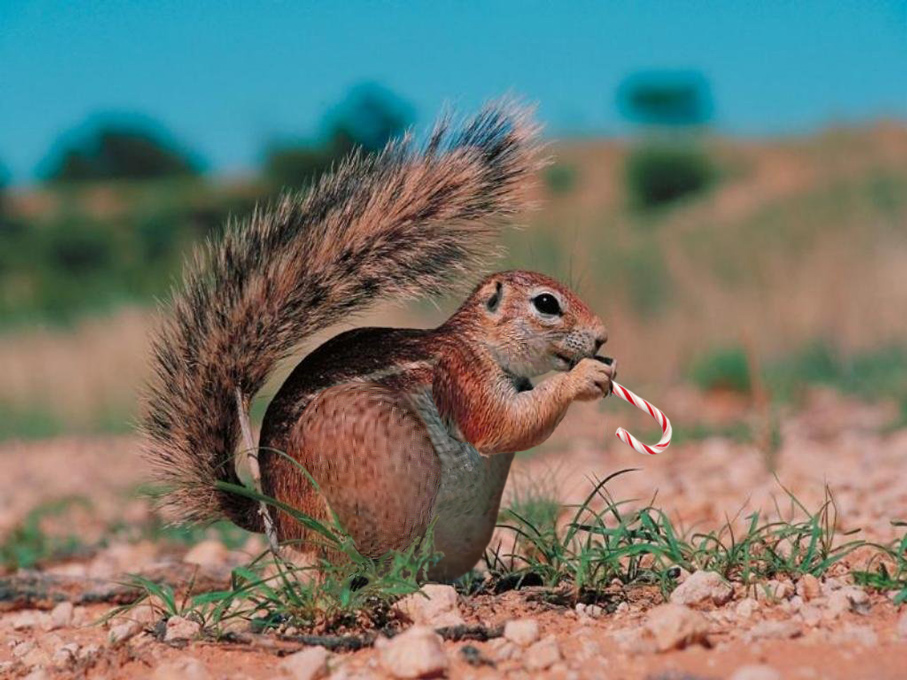 Design Photoshop par Carloshs pour DesignCrowd (Community Contests) | Design #9029510