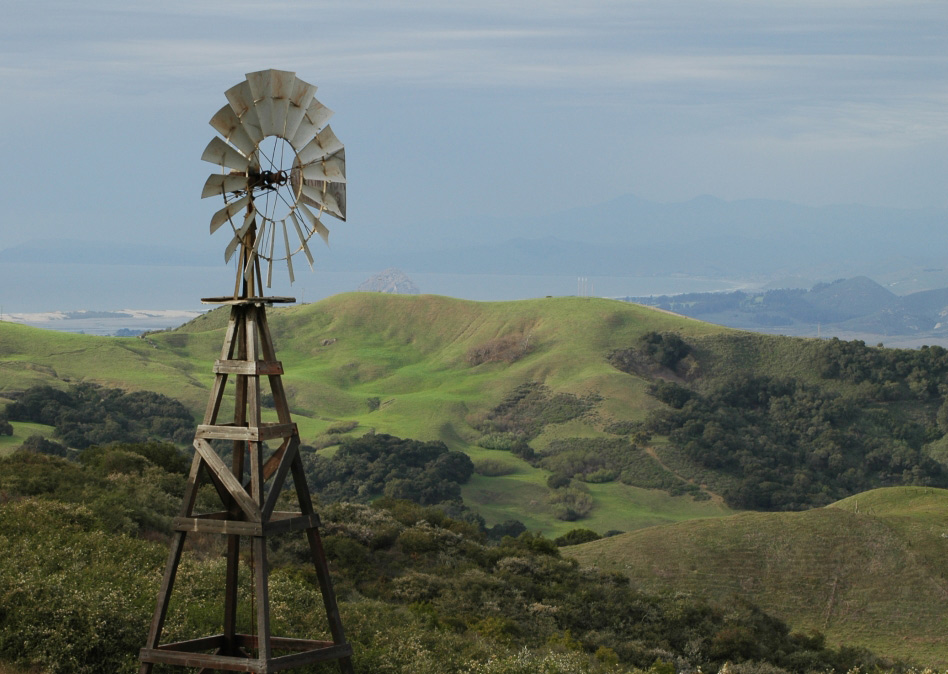 Photography by Larvice for DesignCrowd (Community Contests) | Design #9025482