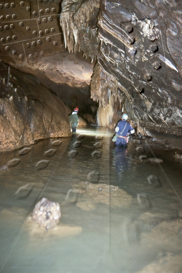 Design Photoshop par babemagnetz pour DesignCrowd (Community Contests) | Design #9033052