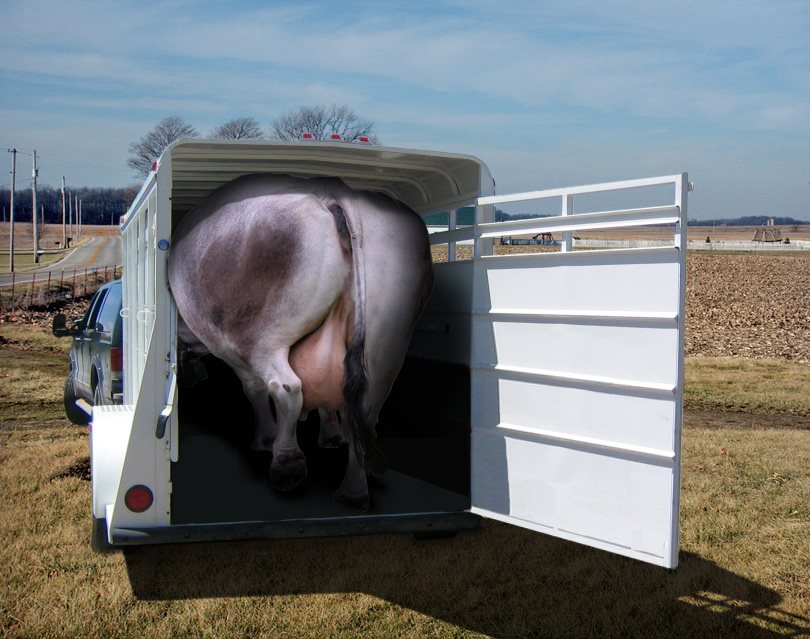 Photoshop Design by Armendo for DesignCrowd (Community Contests) | Design #9029622