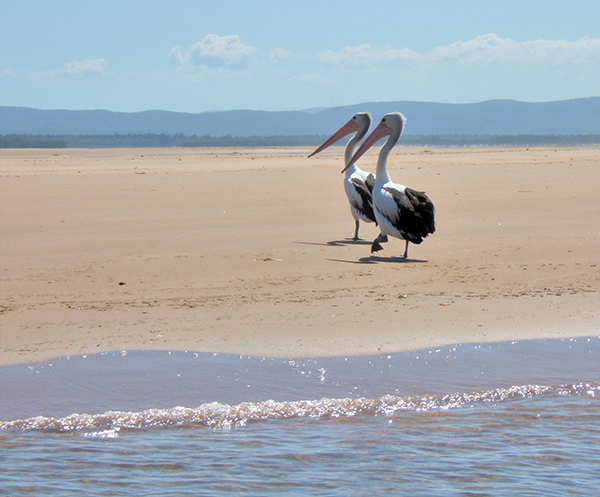 Photography by EyEars for DesignCrowd (Community Contests) | Design #9025426