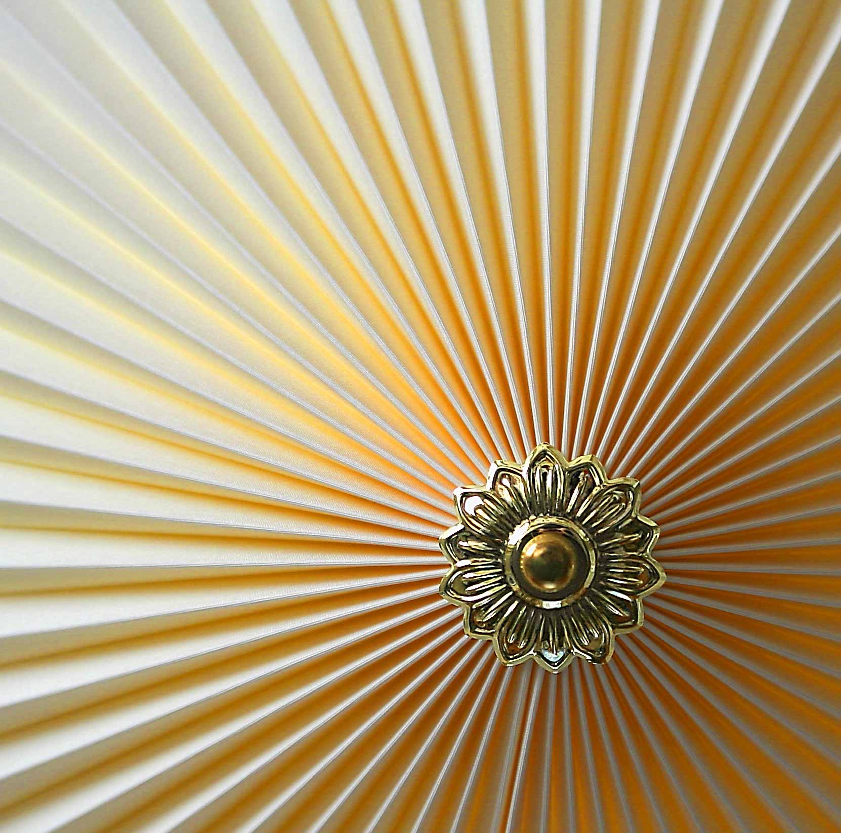 Photography by fatheroftwo for DesignCrowd (Community Contests) | Design #9024557