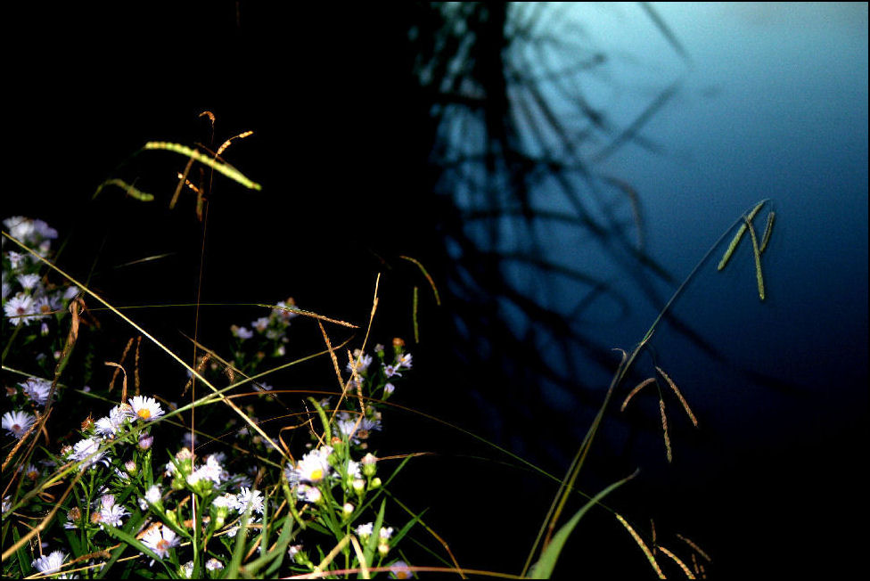 Photography by intelchicka0412 for DesignCrowd (Community Contests) | Design #9025501