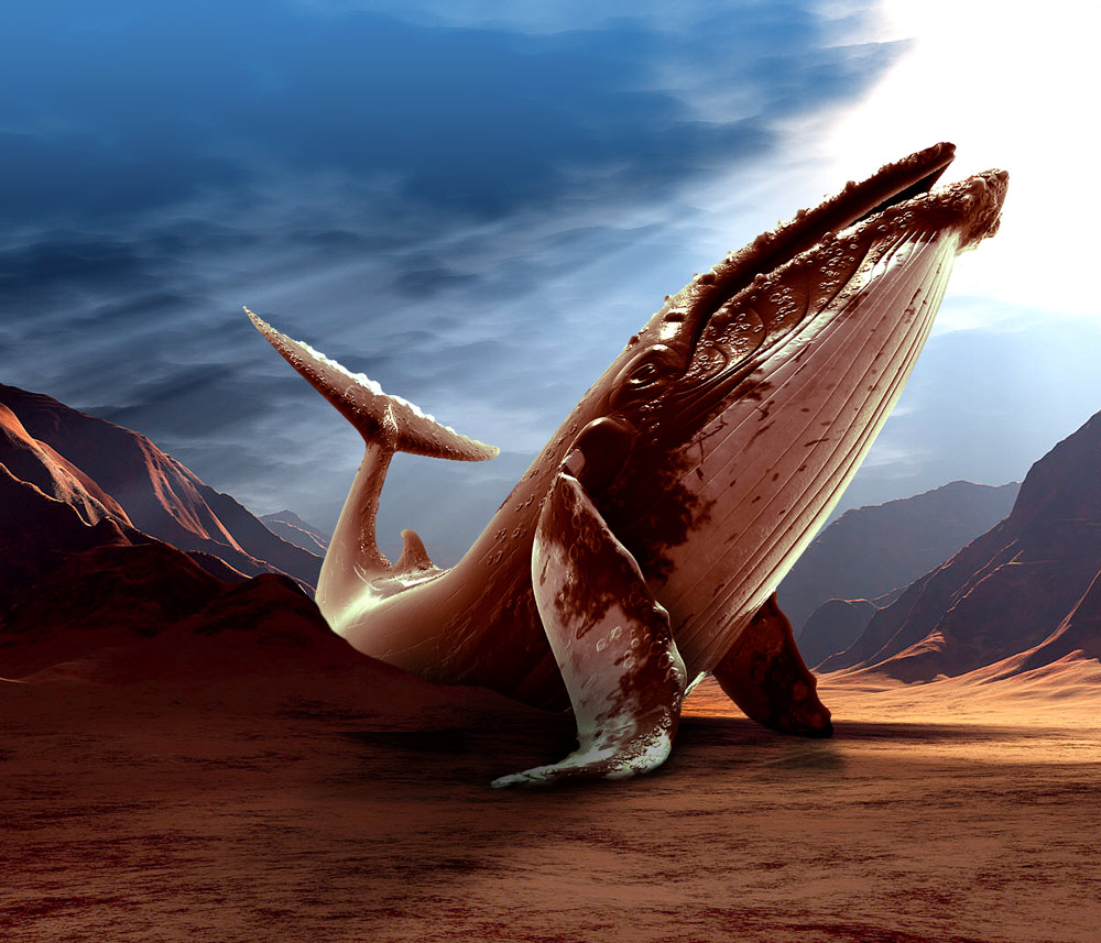 Photoshop Design by tombarreto for DesignCrowd (Community Contests) | Design #9022550