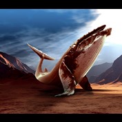 Photoshop Design by tombarreto