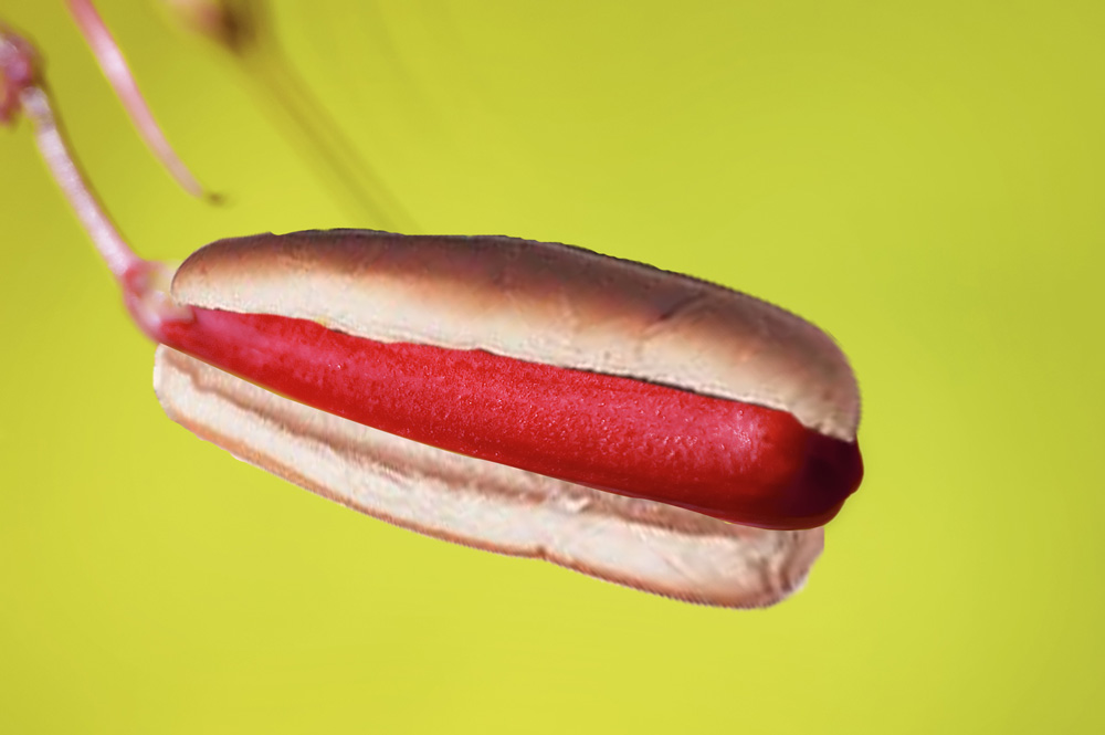 Photoshop Design by mattbyng for DesignCrowd (Community Contests) | Design #9018754