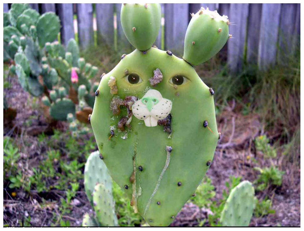 Diseño de Photoshop por wimhellinx para DesignCrowd (Community Contests) | Diseño #9018762