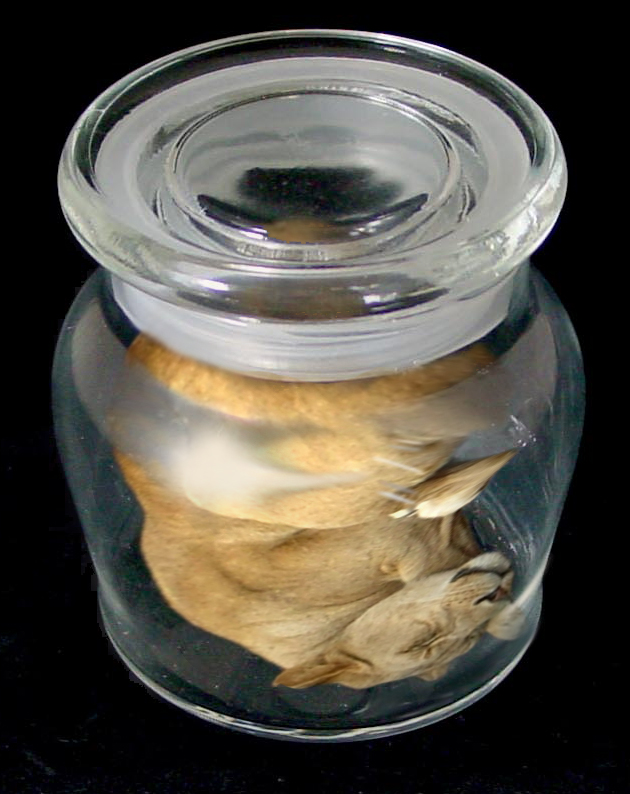 Photoshop Design by chrisboo1974 for DesignCrowd (Community Contests) | Design #9034395