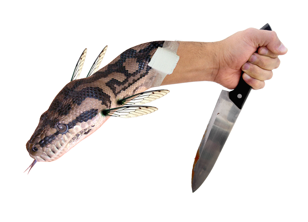 Photoshop Design by beherenow for DesignCrowd (Community Contests) | Design #9029369