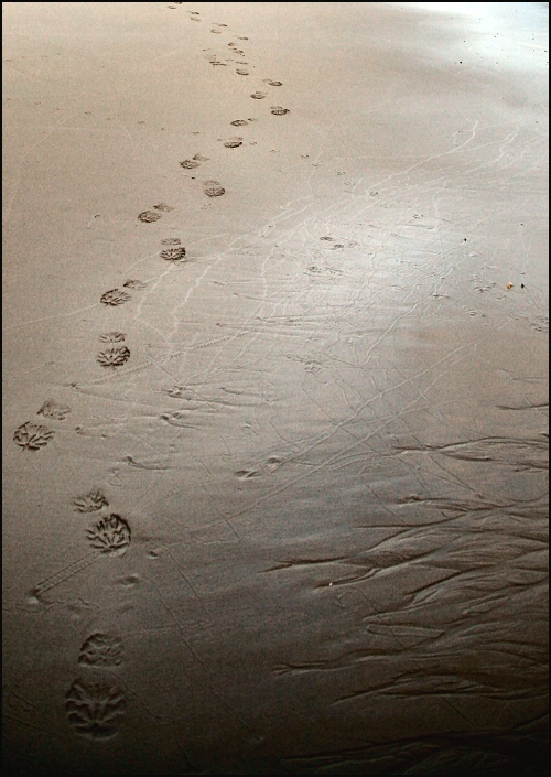 Photography by Juicer for DesignCrowd (Community Contests) | Design #9024723