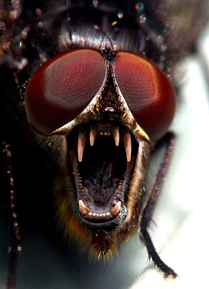 Diseño de Photoshop por Koosricardo para DesignCrowd (Community Contests) | Diseño #9029419