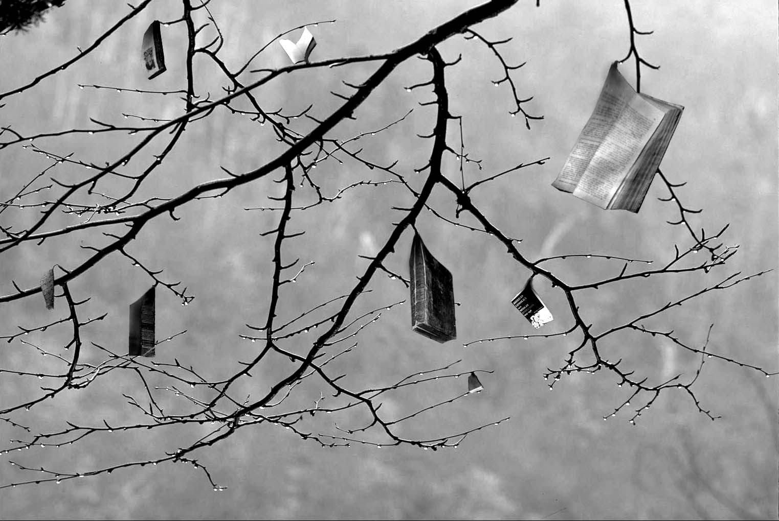 Design Photoshop par marijnpeter pour DesignCrowd (Community Contests) | Design #9018791