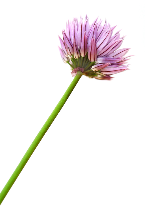 Photography by LABRIP for DesignCrowd (Community Contests) | Design #9025536