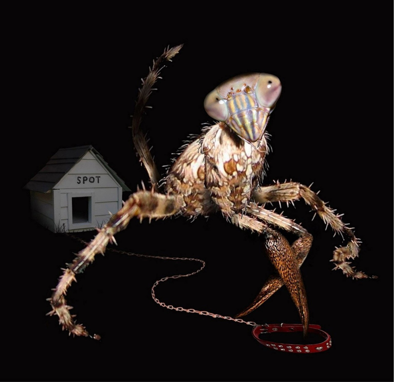 Photoshop-Design von UnoBADFISH für DesignCrowd (Community Contests) | Design #9029465