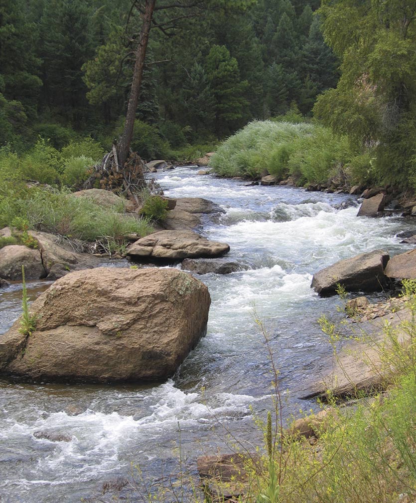 Photography by cshutt for DesignCrowd (Community Contests) | Design #9025574