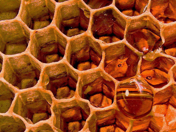 Fotografie von mzmzmzmz für DesignCrowd (Community Contests) | Design #9024731