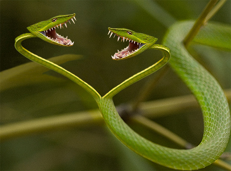 Design Photoshop par pixel8r pour DesignCrowd (Community Contests) | Design #9029460