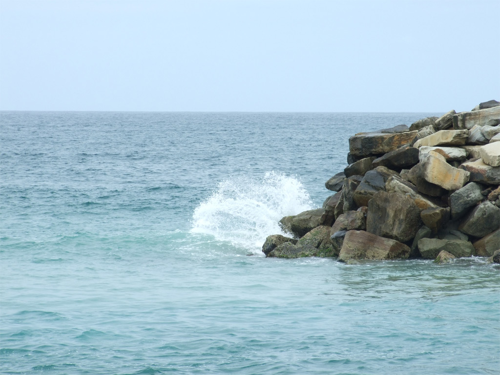 Photography by SNEALL for DesignCrowd (Community Contests) | Design #9025565