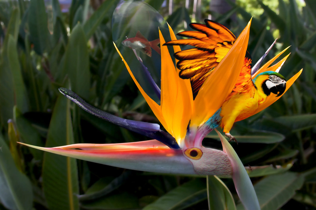 Design Photoshop par TransmissionDump pour DesignCrowd (Community Contests) | Design #9018864