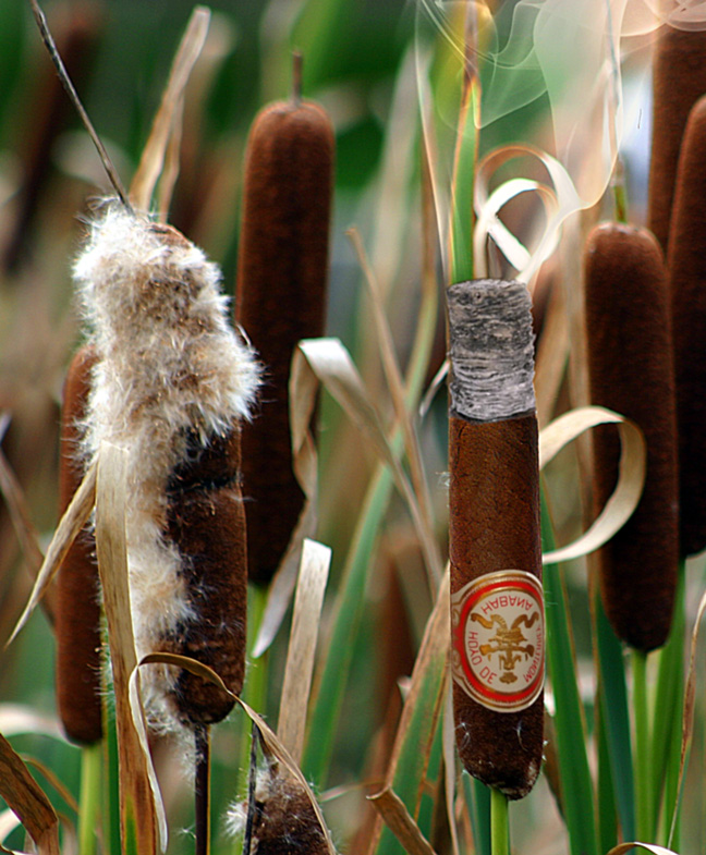 Design Photoshop par Stadsman pour DesignCrowd (Community Contests) | Design #9018803