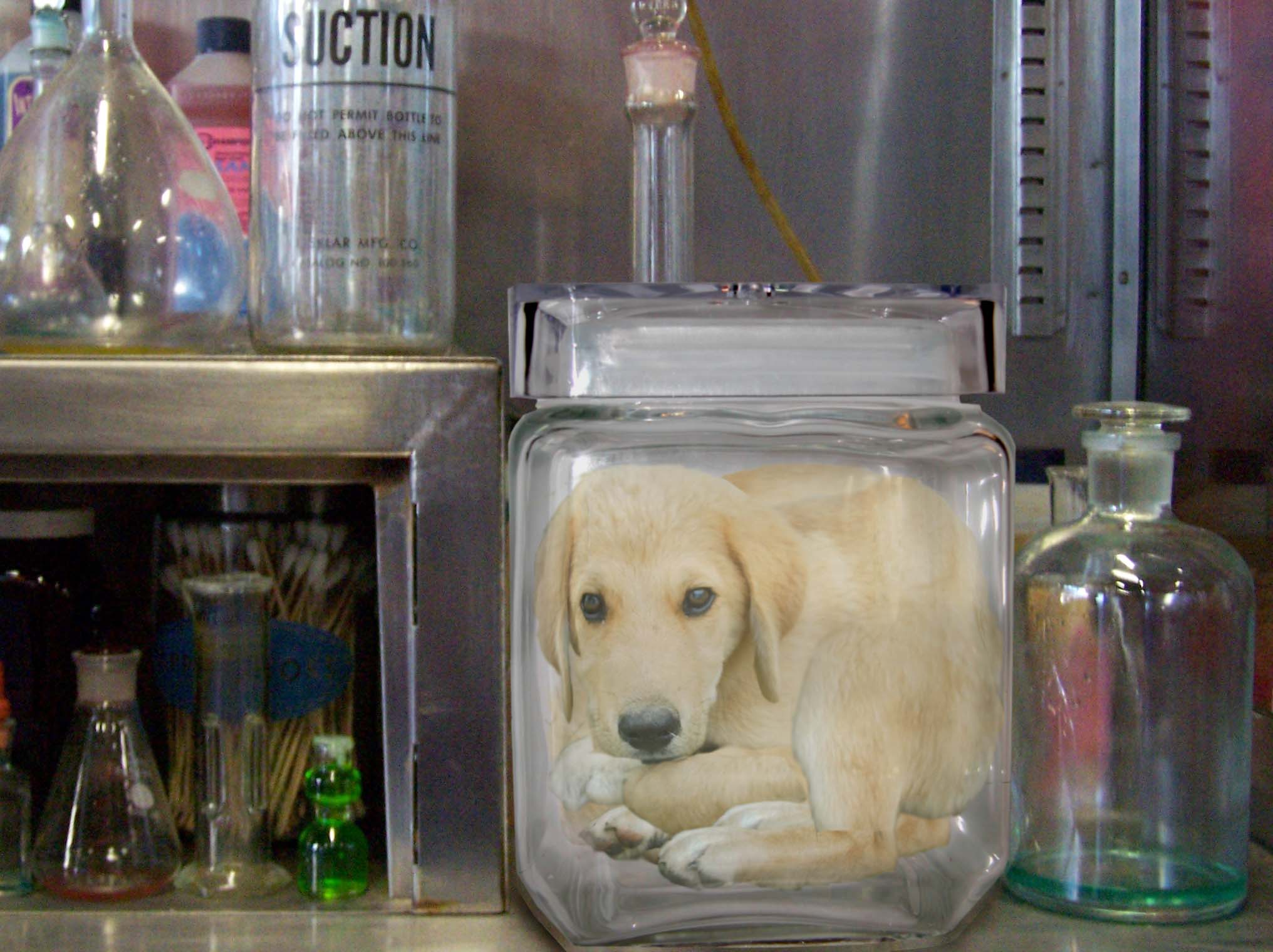 Photoshop Design by rblack for DesignCrowd (Community Contests) | Design #9034434