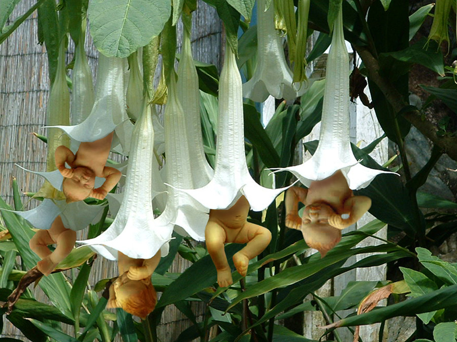 Diseño de Photoshop por Terrence para DesignCrowd (Community Contests) | Diseño #9018798