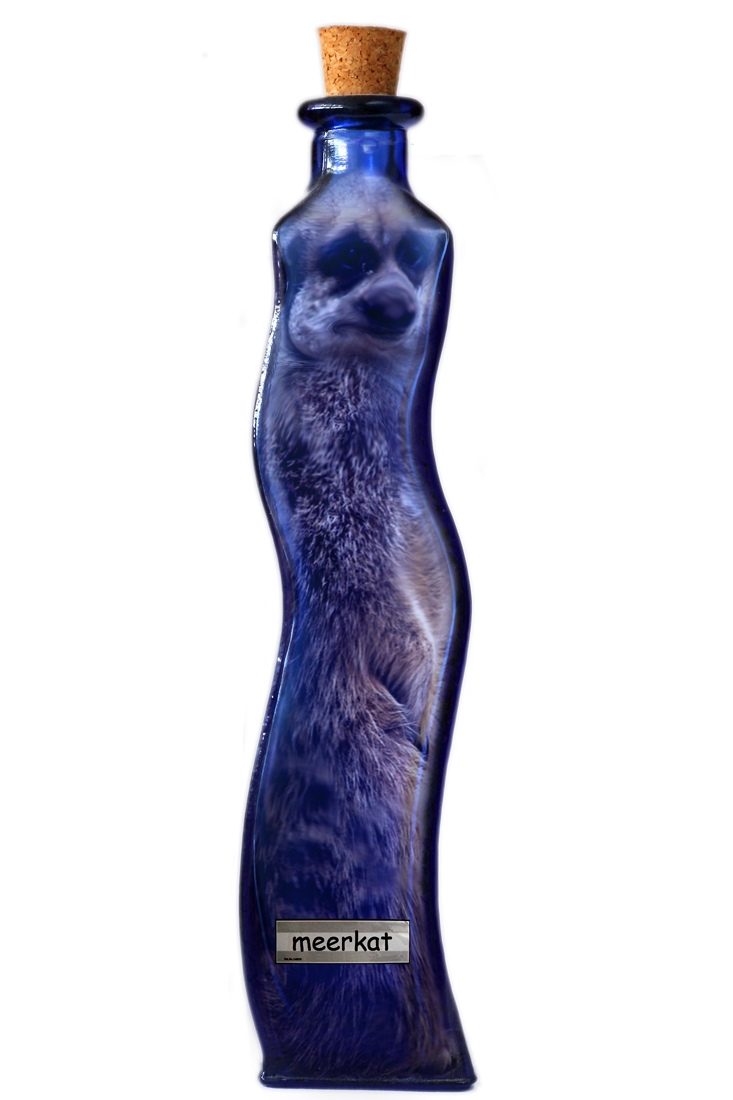 Photoshop-Design von cleareyes für DesignCrowd (Community Contests) | Design #9034441