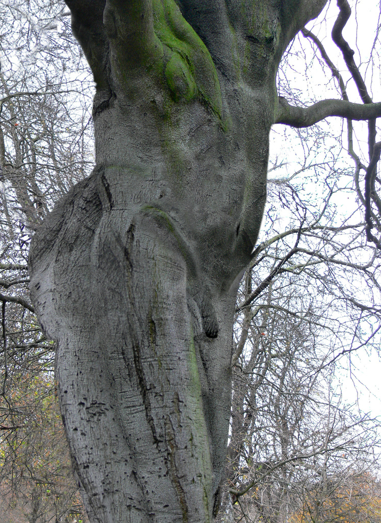 Diseño de Photoshop por paraloid para DesignCrowd (Community Contests) | Diseño #9018962