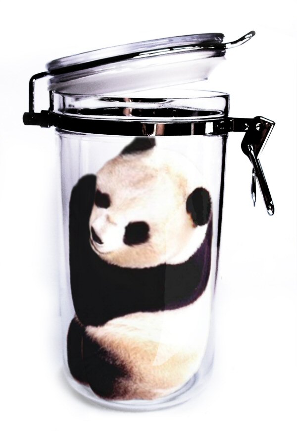 Photoshop Design by jennetaken for DesignCrowd (Community Contests) | Design #9034482