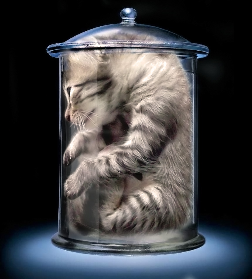 Photoshop Design by CraftLord for DesignCrowd (Community Contests) | Design #9034445