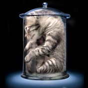 Photoshop Design by CraftLord