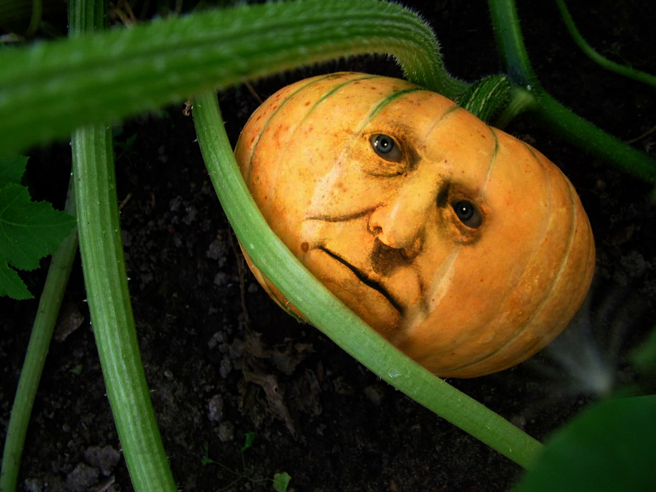 Photoshop-Design von mjhaylor für DesignCrowd (Community Contests) | Design #9018894