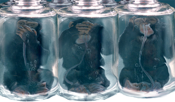 Photoshop Design by furfree for DesignCrowd (Community Contests) | Design #9034477