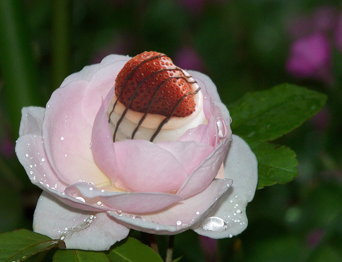 Design Photoshop par pixel8r pour DesignCrowd (Community Contests) | Design #9018967